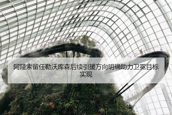 阿隆索留任勒沃库森后续引援方向明确助力卫冕目标实现