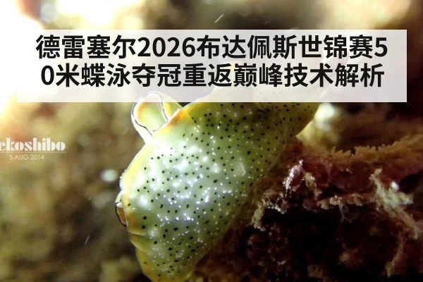 德雷塞尔2026布达佩斯世锦赛50米蝶泳夺冠重返巅峰技术解析