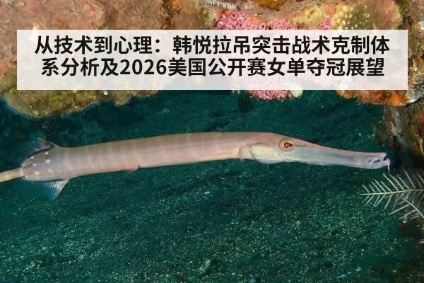 从技术到心理:韩悦拉吊突击战术克制体系分析及2026美国公开赛女单夺冠展望